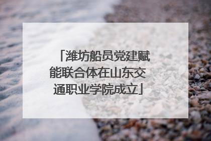 潍坊船员党建赋能联合体在山东交通职业学院成立