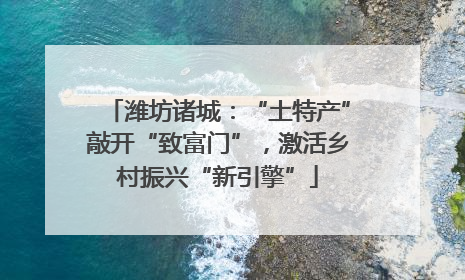 潍坊诸城：“土特产”敲开“致富门”，激活乡村振兴“新引擎”