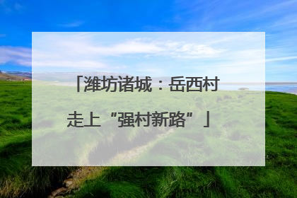潍坊诸城：岳西村走上“强村新路”