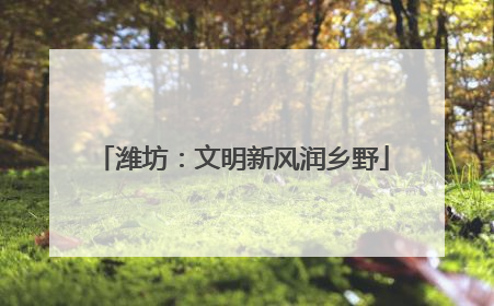 潍坊：文明新风润乡野