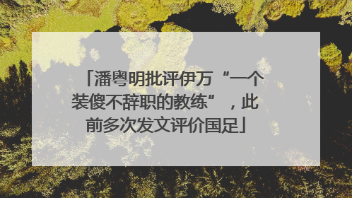 潘粤明批评伊万“一个装傻不辞职的教练”，此前多次发文评价国足