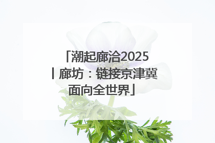 潮起廊洽2025丨廊坊：链接京津冀 面向全世界