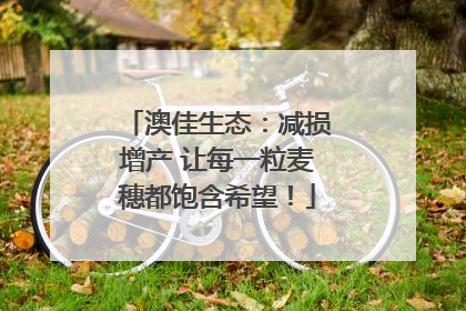 澳佳生态：减损增产 让每一粒麦穗都饱含希望！