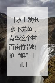 水上发电水下养鱼，青岛这个村百亩竹节虾抢“鲜”上市