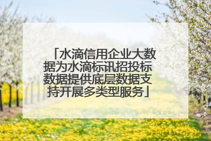 水滴信用企业大数据为水滴标讯招投标数据提供底层数据支持开展多类型服务