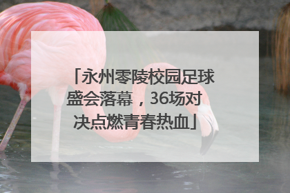 永州零陵校园足球盛会落幕，36场对决点燃青春热血