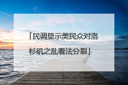 民调显示美民众对洛杉矶之乱看法分裂