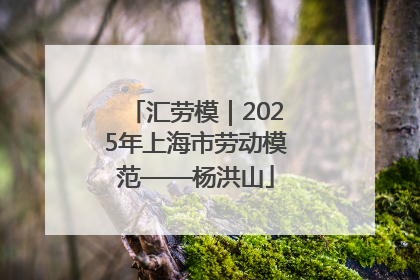 汇劳模｜2025年上海市劳动模范——杨洪山