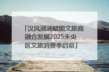 汉风潮涌赋能文旅商融合发展2025未央区文旅消费季启幕