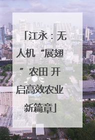 江永：无人机“展翅”农田 开启高效农业新篇章