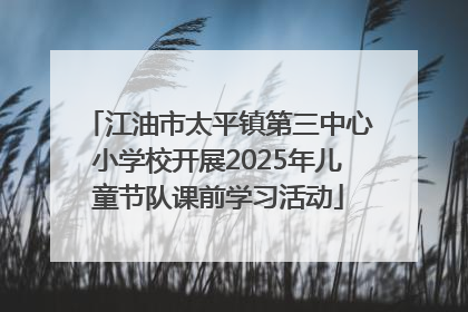 江油市太平镇第三中心小学校开展2025年儿童节队课前学习活动