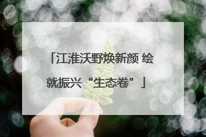 江淮沃野焕新颜 绘就振兴“生态卷”