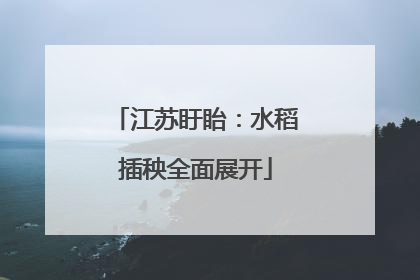 江苏盱眙：水稻插秧全面展开