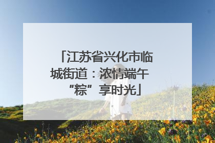 江苏省兴化市临城街道：浓情端午 “粽”享时光