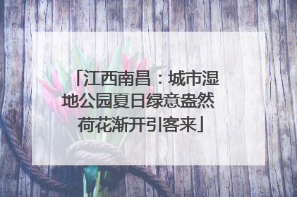 江西南昌：城市湿地公园夏日绿意盎然 荷花渐开引客来