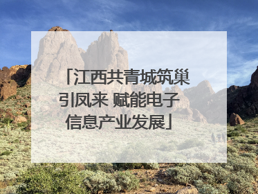 江西共青城筑巢引凤来 赋能电子信息产业发展