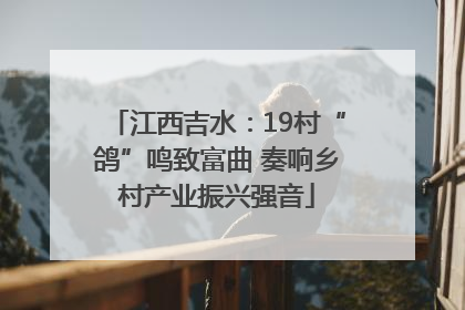 江西吉水：19村“鸽”鸣致富曲 奏响乡村产业振兴强音