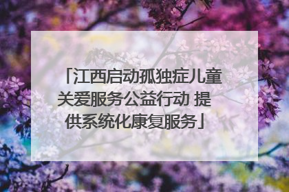 江西启动孤独症儿童关爱服务公益行动 提供系统化康复服务