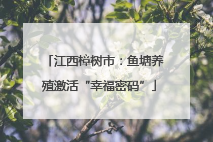 江西樟树市：鱼塘养殖激活“幸福密码”