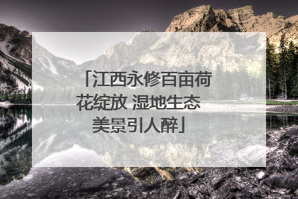 江西永修百亩荷花绽放 湿地生态美景引人醉