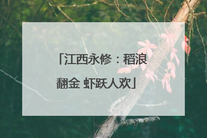 江西永修：稻浪翻金 虾跃人欢