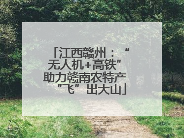 江西赣州：“无人机+高铁”助力赣南农特产“飞”出大山