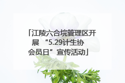江陵六合垸管理区开展 “5.29计生协会员日”宣传活动