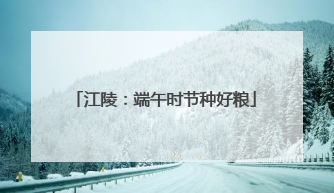 江陵：端午时节种好粮