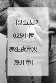 沈丘县2025中医养生夜市火热开市