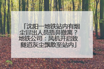 沈阳一地铁站内有烟尘冒出人员捂鼻撤离？地铁公司：风机开启致隧道灰尘飘散至站内
