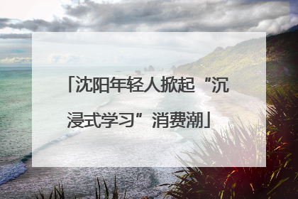 沈阳年轻人掀起“沉浸式学习”消费潮