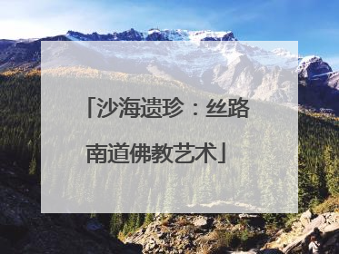沙海遗珍：丝路南道佛教艺术