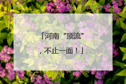 河南“顶流”，不止一面！