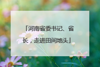 河南省委书记、省长，走进田间地头