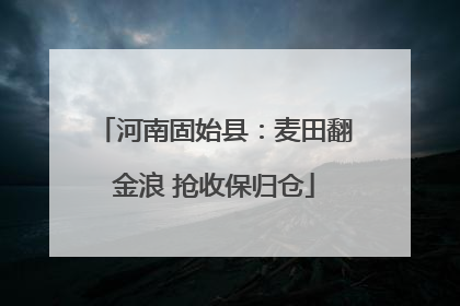 河南固始县：麦田翻金浪 抢收保归仓