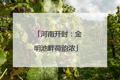 河南开封：金明池畔荷韵浓