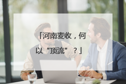 河南麦收，何以“顶流”？