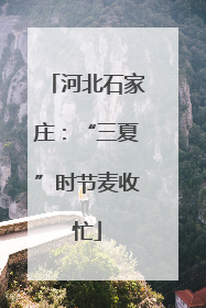 河北石家庄：“三夏”时节麦收忙