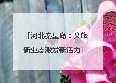 河北秦皇岛：文旅新业态激发新活力