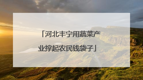 河北丰宁用蔬菜产业撑起农民钱袋子