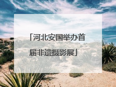 河北安国举办首届非遗摄影展