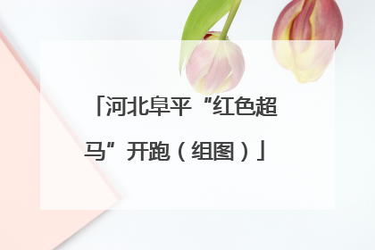 河北阜平“红色超马”开跑（组图）
