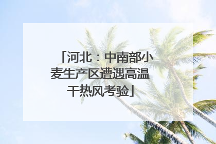 河北：中南部小麦生产区遭遇高温干热风考验