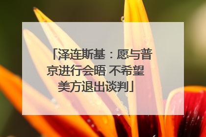 泽连斯基：愿与普京进行会晤 不希望美方退出谈判