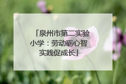 泉州市第二实验小学：劳动砺心智实践促成长