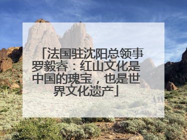 法国驻沈阳总领事罗毅睿：红山文化是中国的瑰宝，也是世界文化遗产