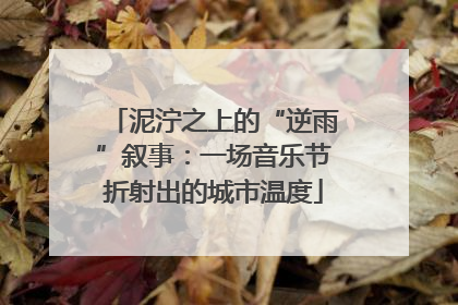 泥泞之上的“逆雨”叙事：一场音乐节折射出的城市温度