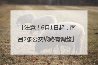 注意！6月1日起，南昌2条公交线路有调整