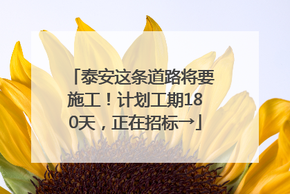 泰安这条道路将要施工！计划工期180天，正在招标→