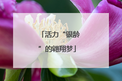 活力“银龄”的翱翔梦